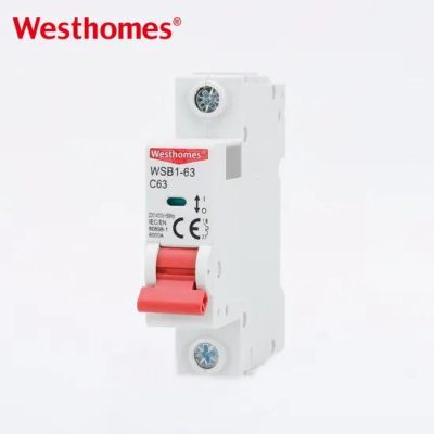 Popular Design Structure Mini MCB Circuit Breaker 2p Miniature Circuit Breaker