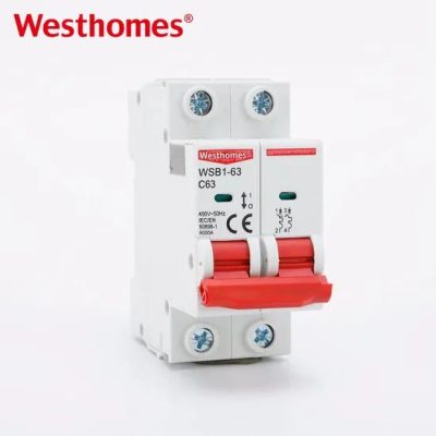 Manufacturer Low Voltage AC 50Hz/60Hz 2p Miniature Circuit Breaker