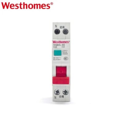 Westhomes Wsb5 (L) -40 Series Phase Nuetral Earth Leakage Miniature Circuit Breaker