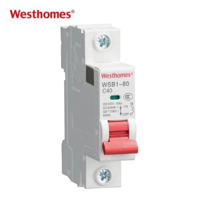 New Design Wsb1-80 1p 40A 6ka 230V/400V/AC 6ka Mini Circuit Breaker