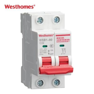 Hot Sale AC 50Hz/60Hz 2p Wsb1-80 Series Mini Circuit Breaker
