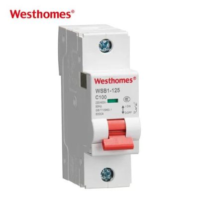 Professtional Manufacturer 1p Wsb1-125 Series 63A to 125A Mini Circuit Breaker