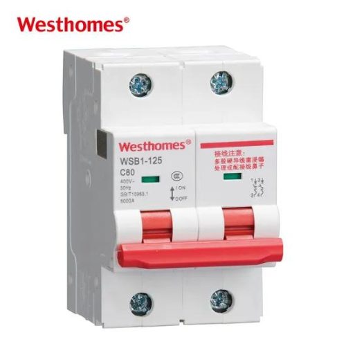 Chinese Factory 63A to 125A 2p Wsb1-125 Series Miniature Circuit Breaker