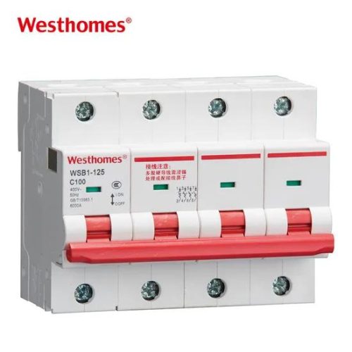 Chinese Factory 63A to 125A 2p Wsb1-125 Series Miniature Circuit Breaker