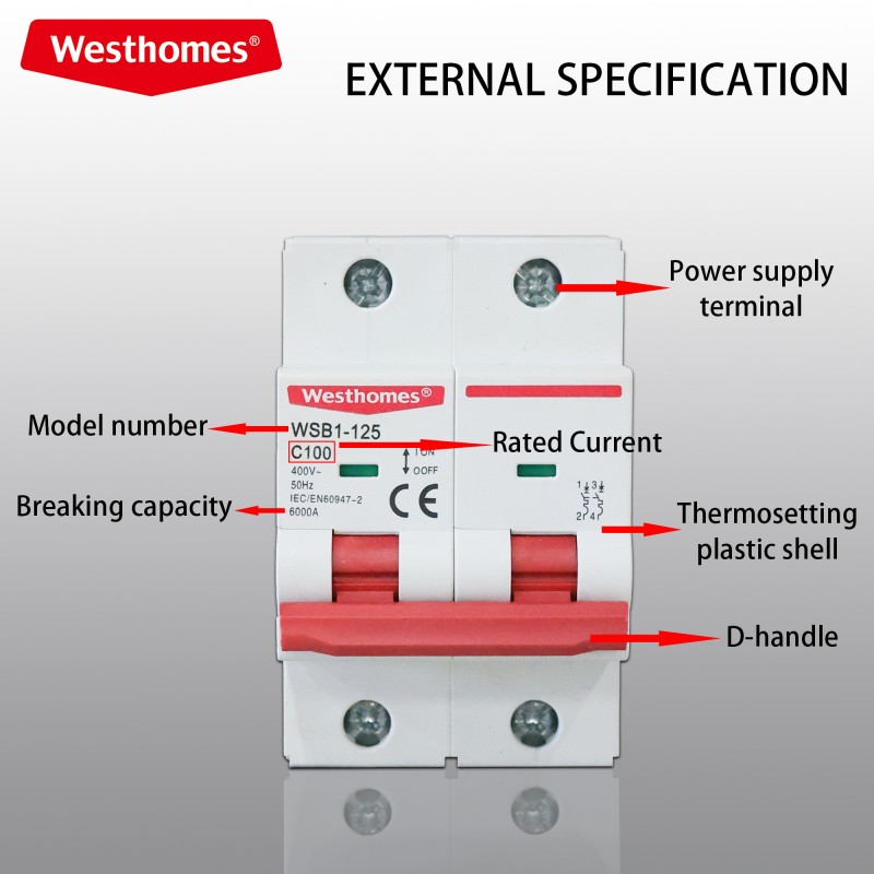 WSB1-125 breaking capacity