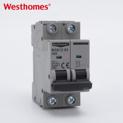 Westhomes 6ka Double Pole Isolator MCB Circuit Breaker for DC Solar Panel