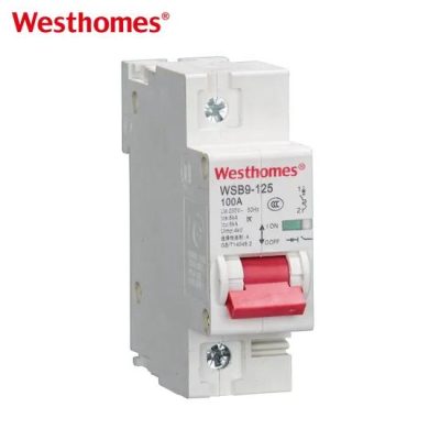 Westhomes Wsb9-125 Series 1p 125A MCB Air AC Miniature Circuit Breaker