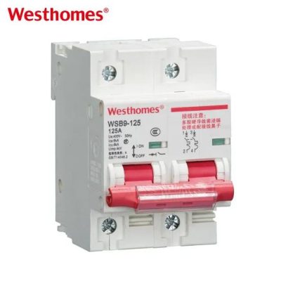 OEM ODM 2p 50 60Hz Electric Protected MCB Miniature Circuit Breaker