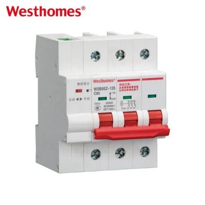 Westhomes Factory Wsb9sz-125 Air AC Electrical Miniature Circuit Breaker 6-100A MCB 3p