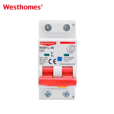Hot Sale WSB1L-80 2P Normal Circuit Breaker