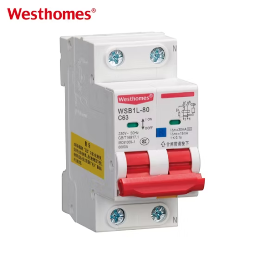 Hot Sale WSB1L-80 2P Normal Circuit Breaker