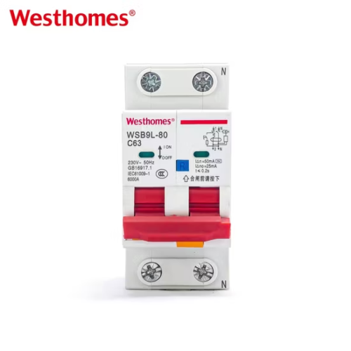 Hot Sale WSB1L-80 2P Normal Circuit Breaker