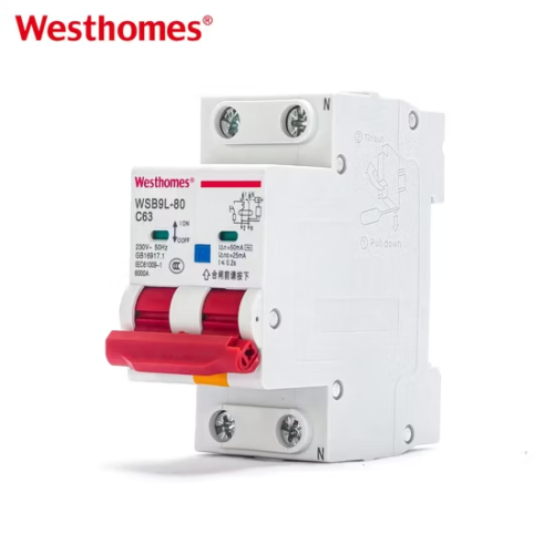 Hot Sale WSB1L-80 2P Normal Circuit Breaker