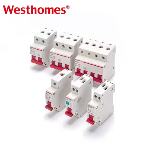Hot Sale WSB1L-80 2P Normal Circuit Breaker