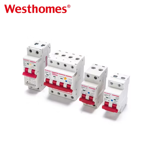Hot Sale WSB1L-80 2P Normal Circuit Breaker