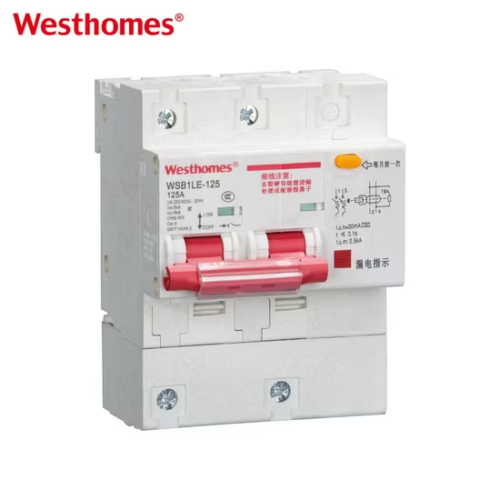 WSB1LE-125 2 Pole Earth Leakage Circuit Breaker