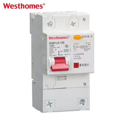 WSB1LE-125 2 Pole Earth Leakage Circuit Breaker