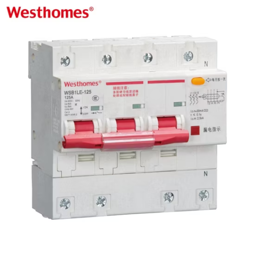 WSB1LE-125 2 Pole Earth Leakage Circuit Breaker