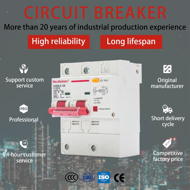 WSB1LE-125 circuit breaker