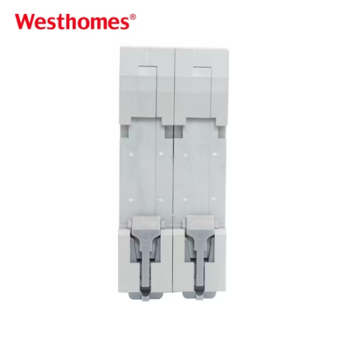 Westhomes Solar WSB9Z-80 Normal Type Circuit Breaker