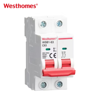 WSB1-63 2P Miniature Circuit Breaker