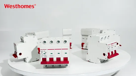 Westhomes Electric Isolating Switch WH1-80 1p