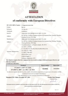 CE Attestation-2466AS11COGY57539 conv 1
