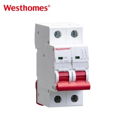 WNB1-63 2P MCB 6kA Double Pole Circuit Breaker