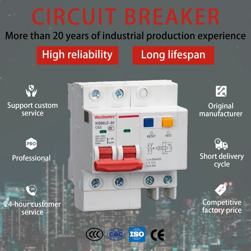 WSB1LE-80 1P+N RCBO professional WSB1LE-80 1P+N RCBO professional