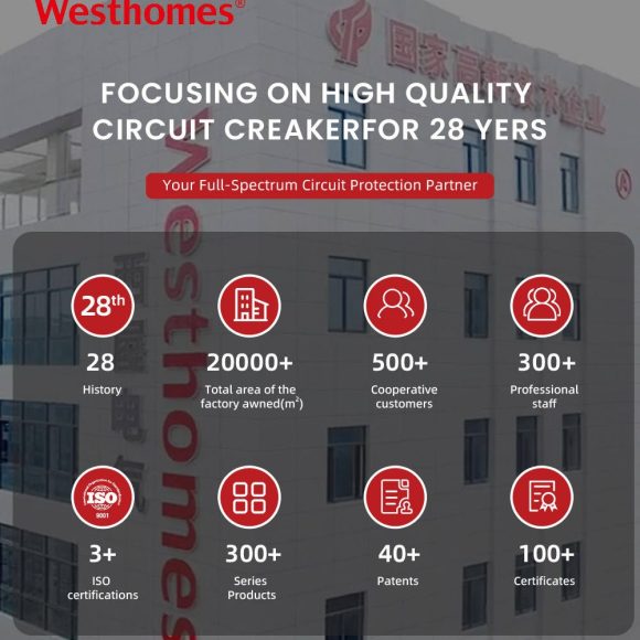 WRO1-63 1P+N Residual Current Breaker with Overvoltage Protection