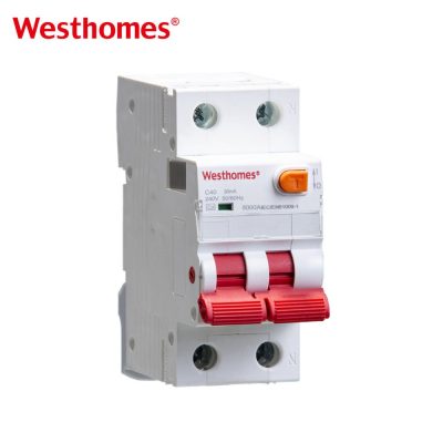 WRO1-63 1P+N Residual Current Breaker with Overvoltage Protection