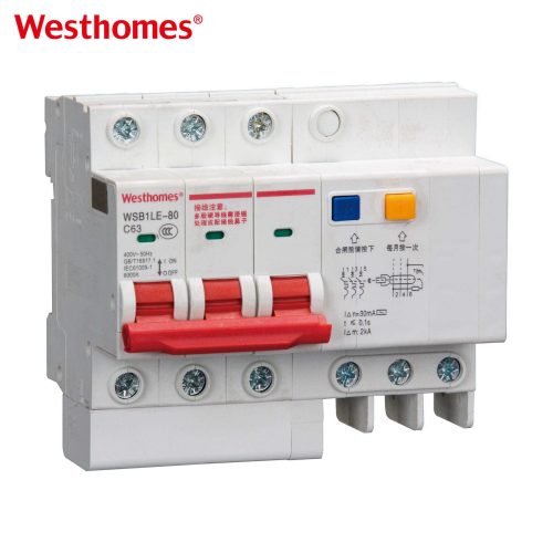 WSB1LE-80 2P Residual Current Breaker with Overcurrent Protection