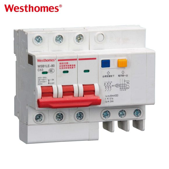 WSB1LE-80 2P Residual Current Breaker with Overcurrent Protection