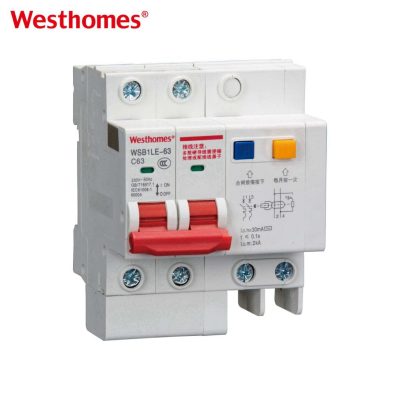 WSB1LE-80 2P Residual Current Breaker with Overcurrent Protection