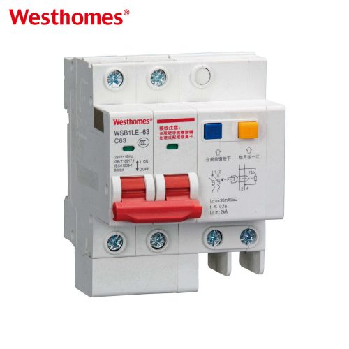 WSB1LE-80 2P Residual Current Breaker with Overcurrent Protection