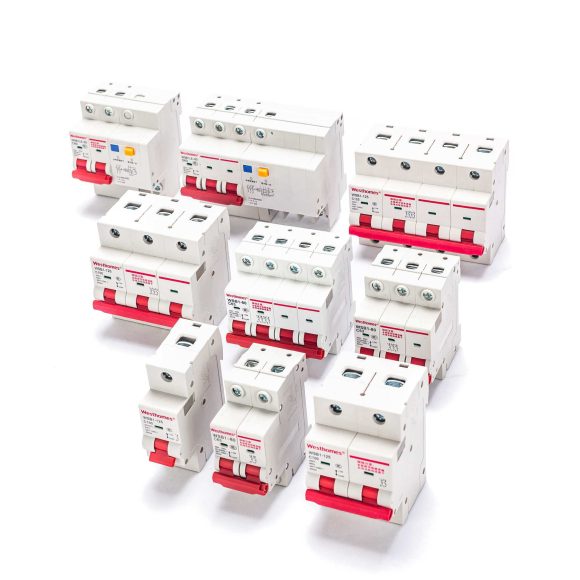 WSB1LE-80 2P Residual Current Breaker with Overcurrent Protection