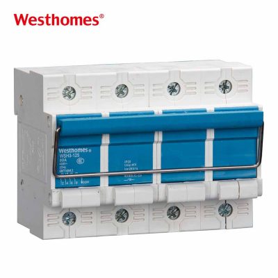 Industrial 4P 100A Isolator