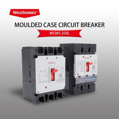 What is the Difference Between an Isolating Switch and a Main Switch?