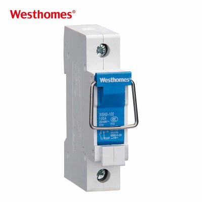 Westhomes WSH3-100 Series Industrial Isolator Switch