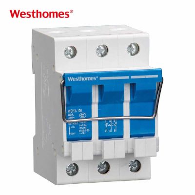 3P 100A Miniature Isolator WSH3-100